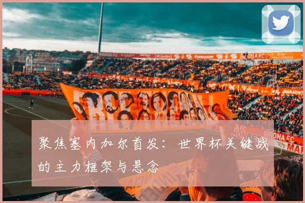 聚焦塞内加尔首发:世界杯关键战的主力框架与悬念
