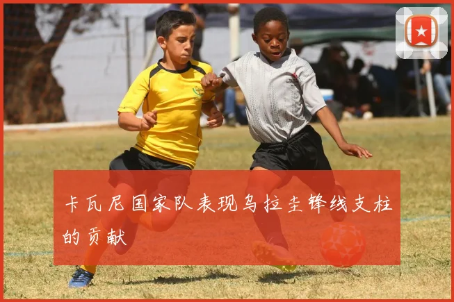 卡瓦尼国家队表现乌拉圭锋线支柱的贡献